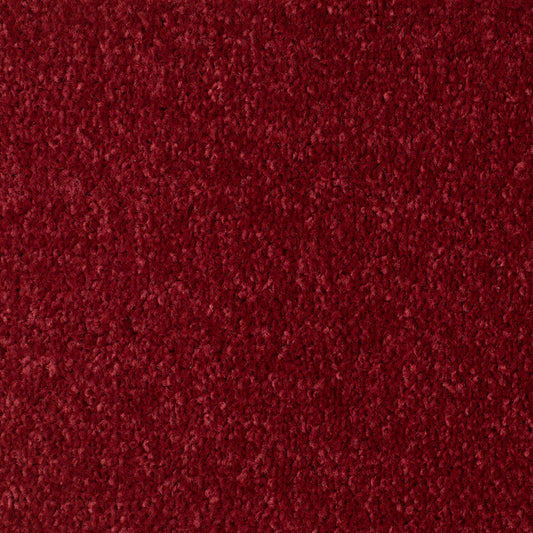 Red Carpet