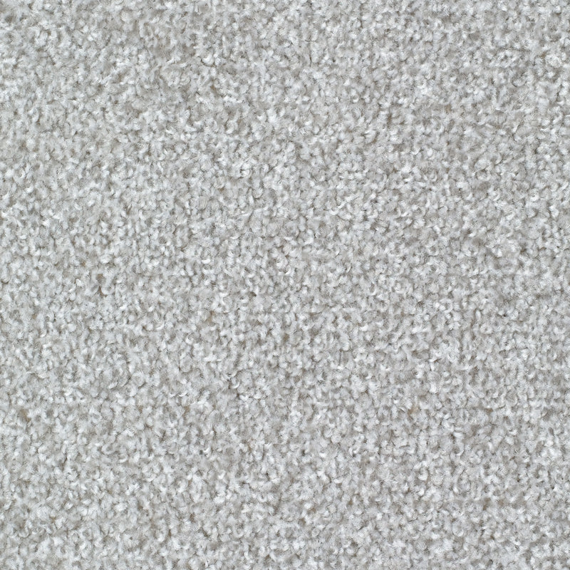 Hibex Silver Carpet