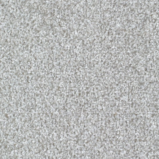 Hibex Silver Carpet