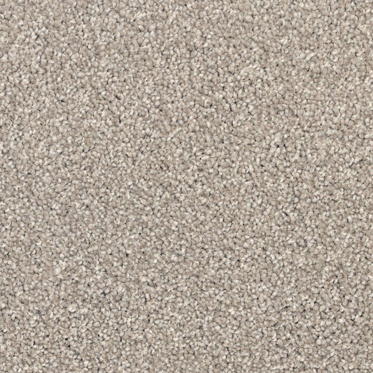 Hibex Tan Carpet