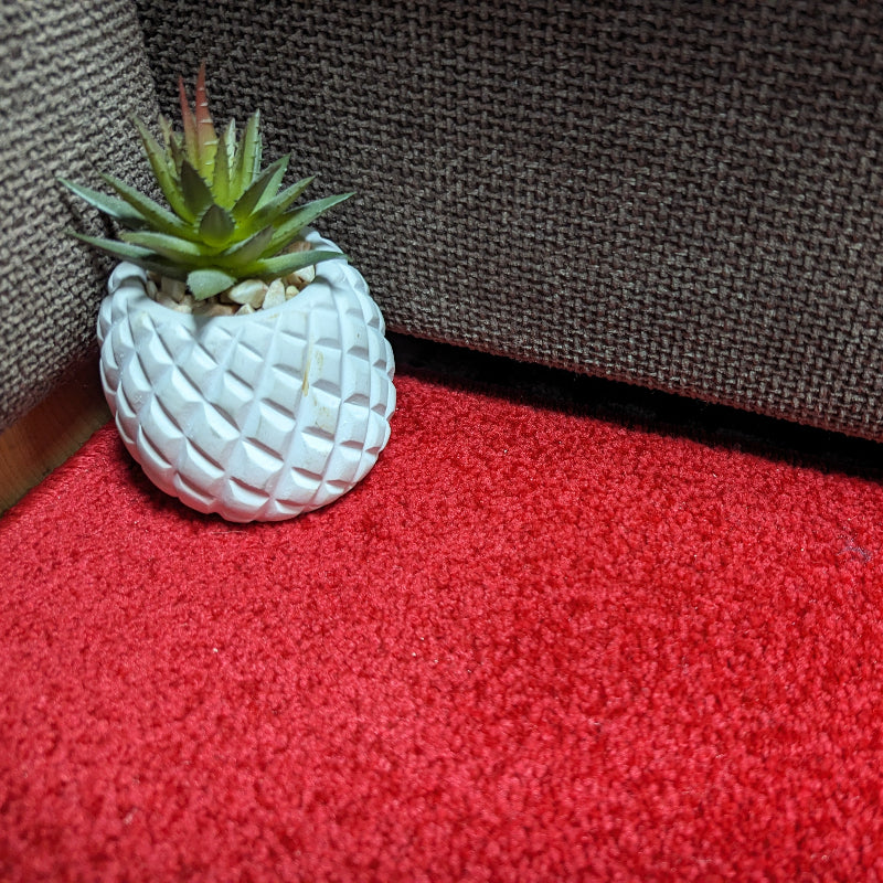 INVI Cerise Red Twist Pile Carpet