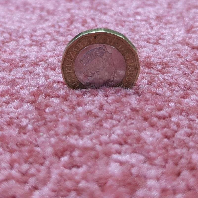 INVI Coral Pink Carpet