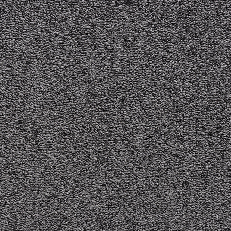 Perro Jet Colour Carpet