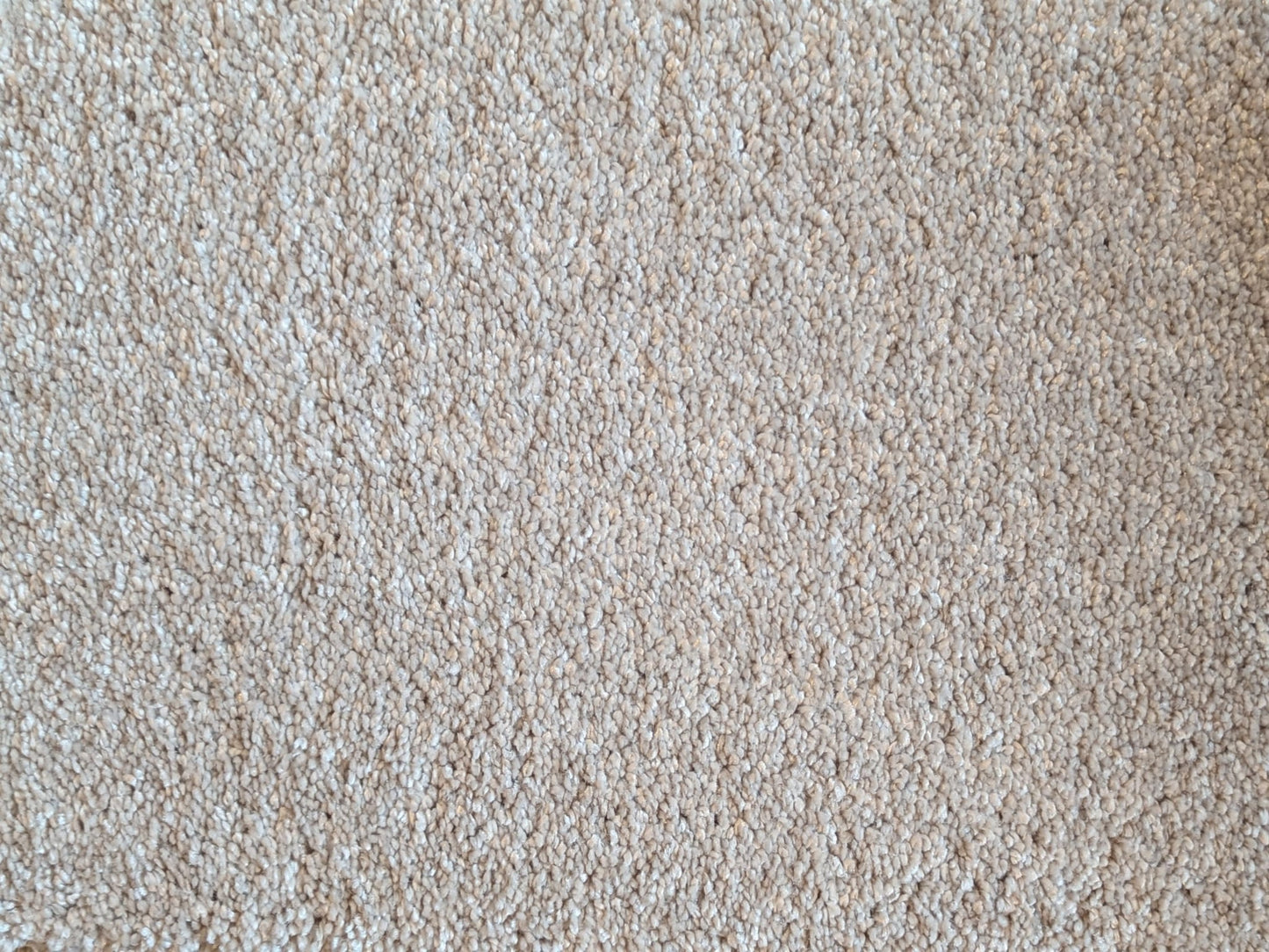 Kenvy Light Beige Carpet