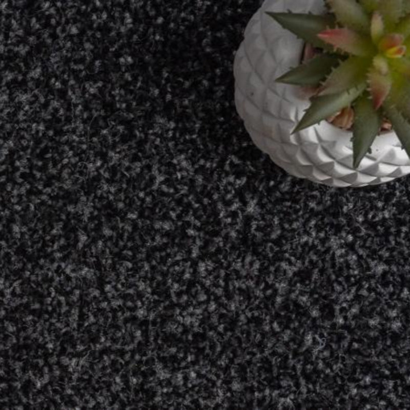 Kingston Saxony Anthracite Carpet