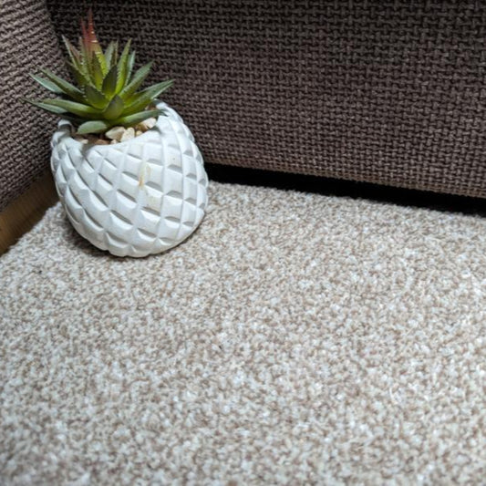 Kingston Saxony Beige Carpet