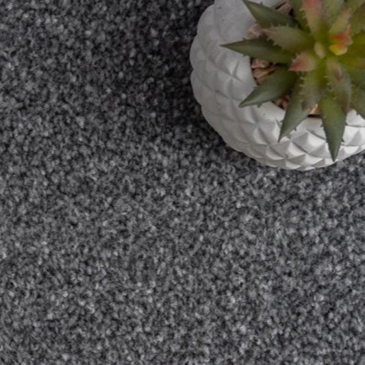 Kingston Saxony Biscuit Carpet