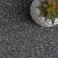 Kingston Saxony Biscuit Carpet