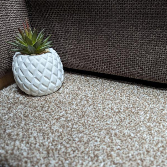 Kingston Saxony Light Brown Rollend Carpet