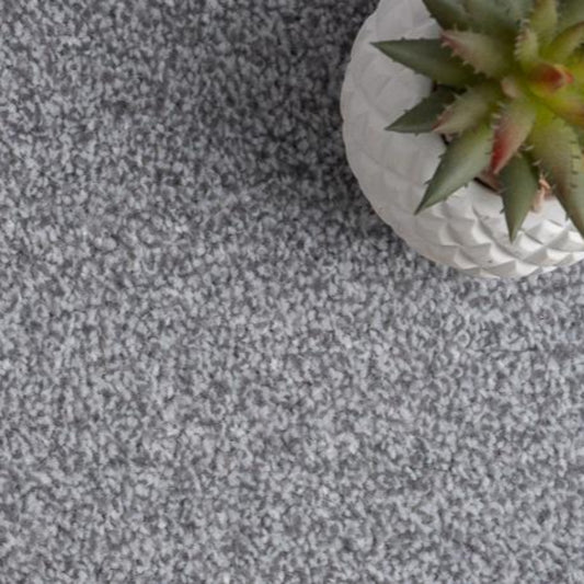 Kingston Saxony White Carpet