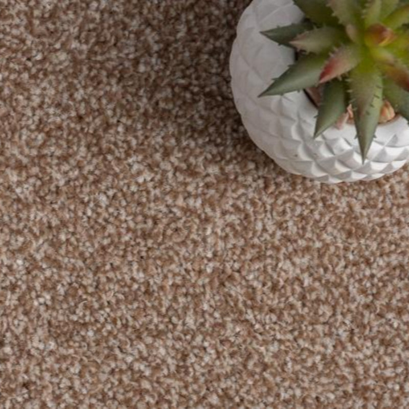 Kingston Saxony Light Brown Carpet