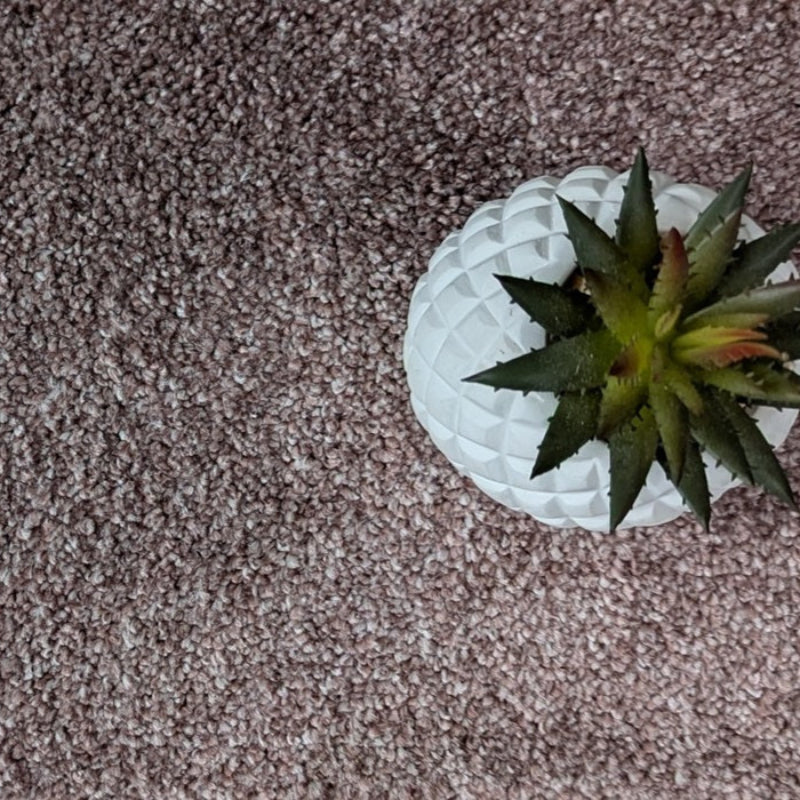 Lavender Carpet