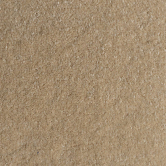 Lifestyle Floors Firework Radiant Carpet