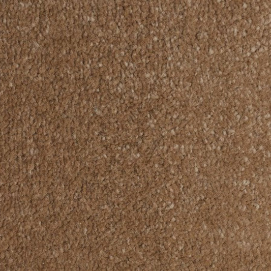 Lifestyle Floors Firework Zing Carpet