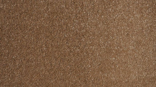 Lifestyle FloorsFirework Zing Carpet