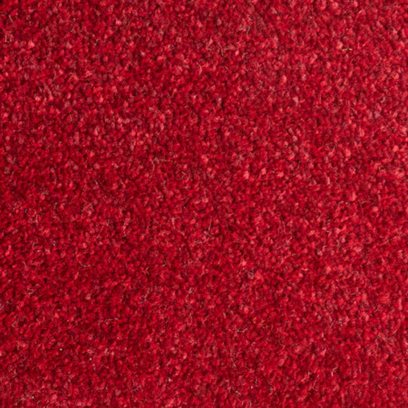 Lifestyle Floors Firework Firecracker Carpet