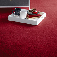 Lifestyle Floors Firework Firecracker Carpet