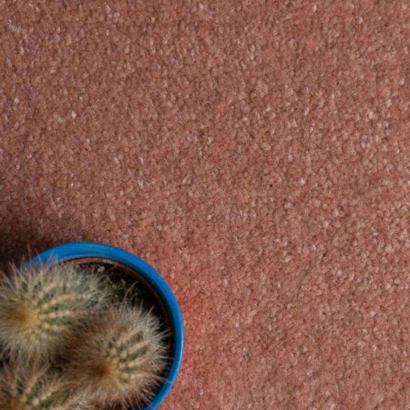 Lifestyle Floors Firework Shine Pink Carpet