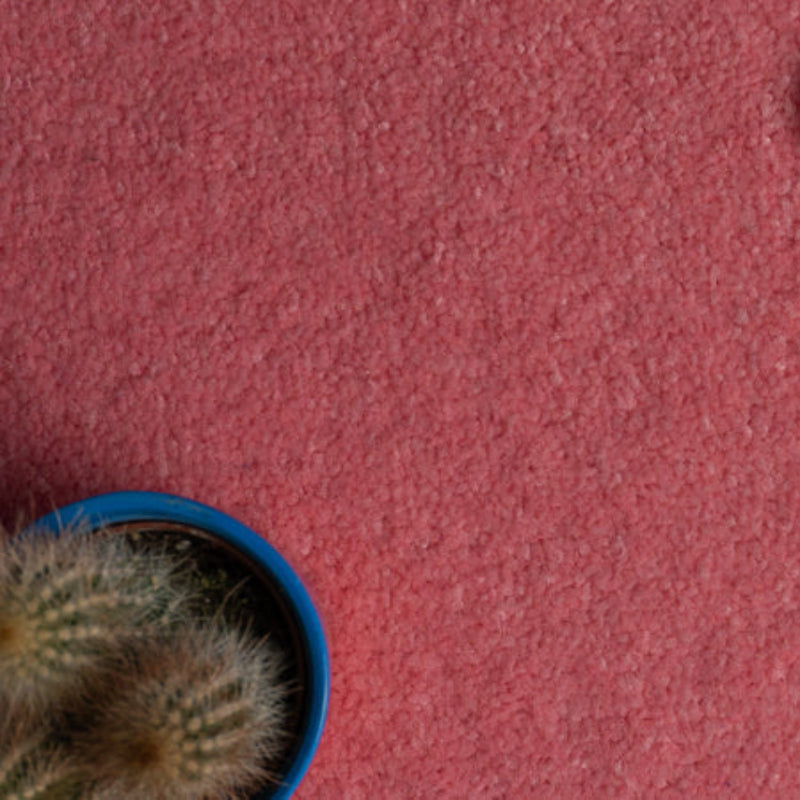Lifestyle Floors Firework Vibrant Pink Carpet
