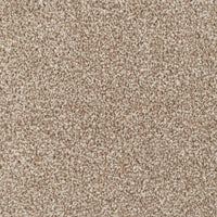 Lioni Beige Carpet