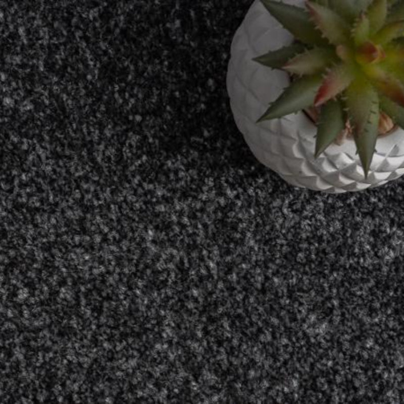 Luxury Deep Grey Carpet