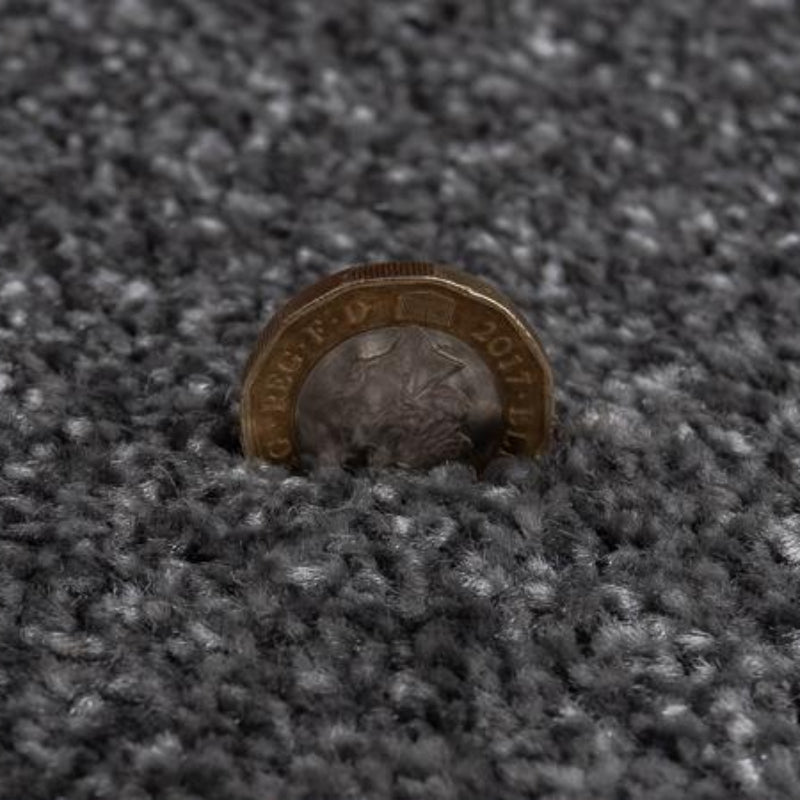 Luxury Grey Carpet