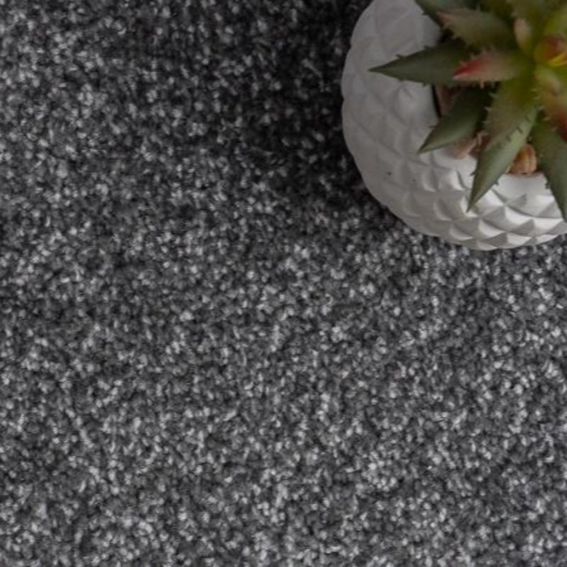 Luxury Grey Carpet