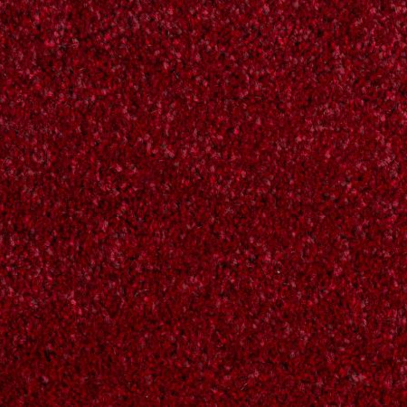 Luxury Burgundy Saxony Carpet