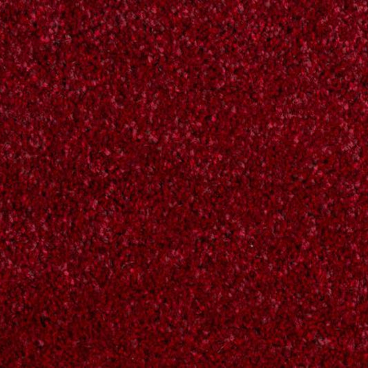 Luxury Burgundy Saxony Carpet