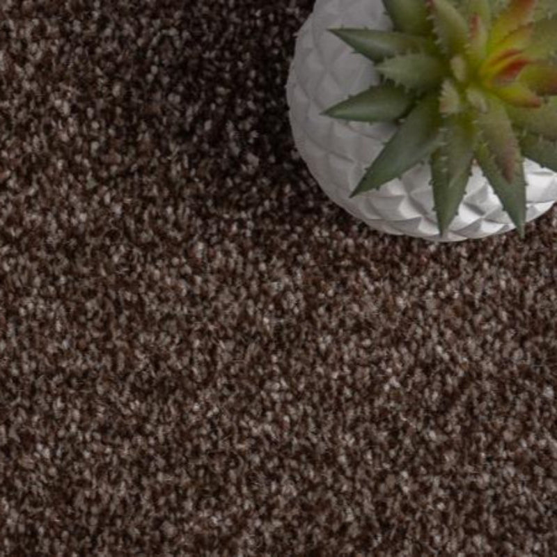 Luxury Chestnut Light Brown Saxony Carpet