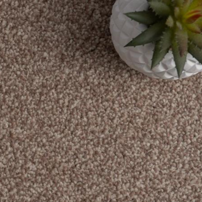 Luxury Neutral Saxony Carpet