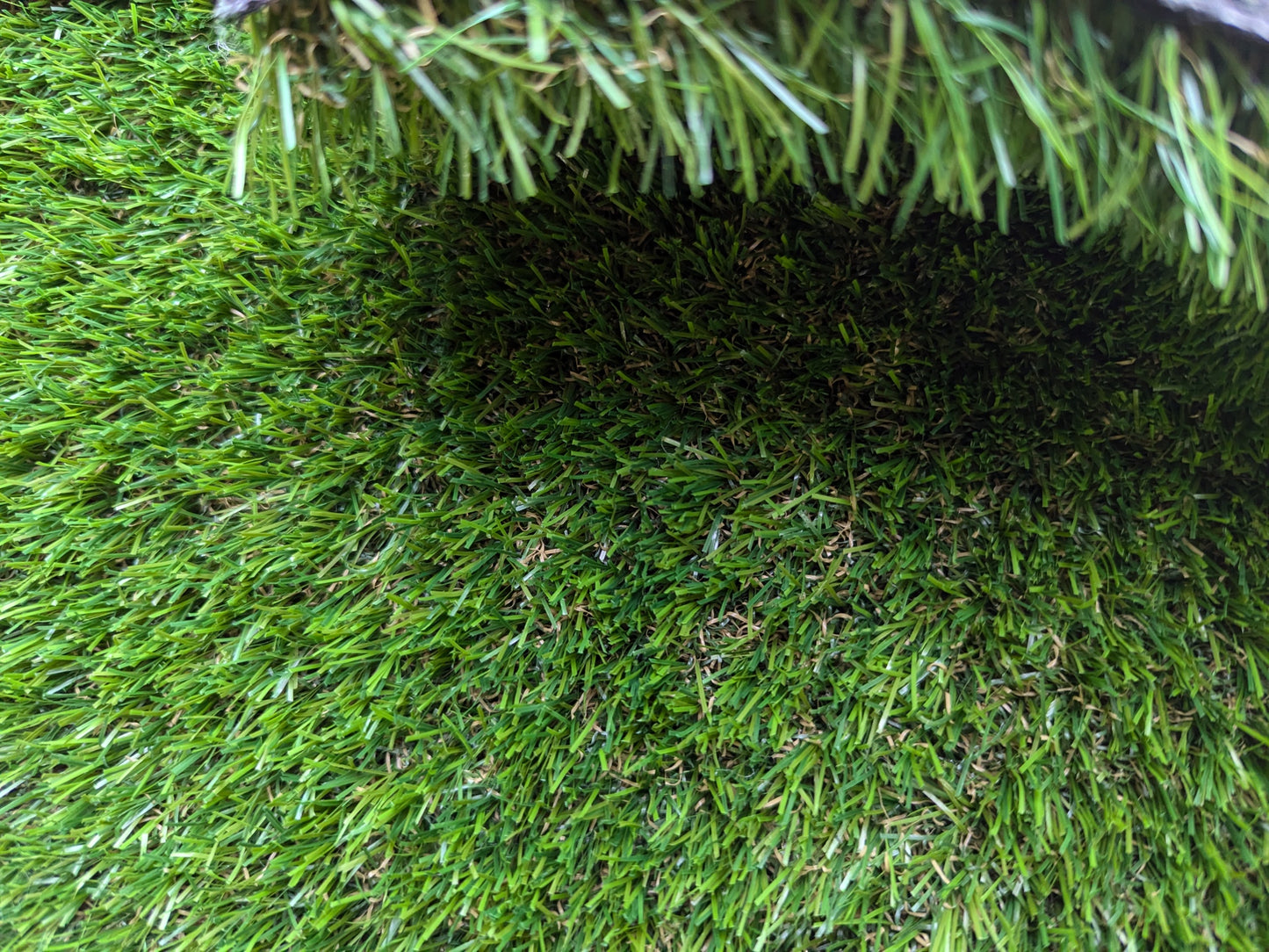 Merion Artificial Grass