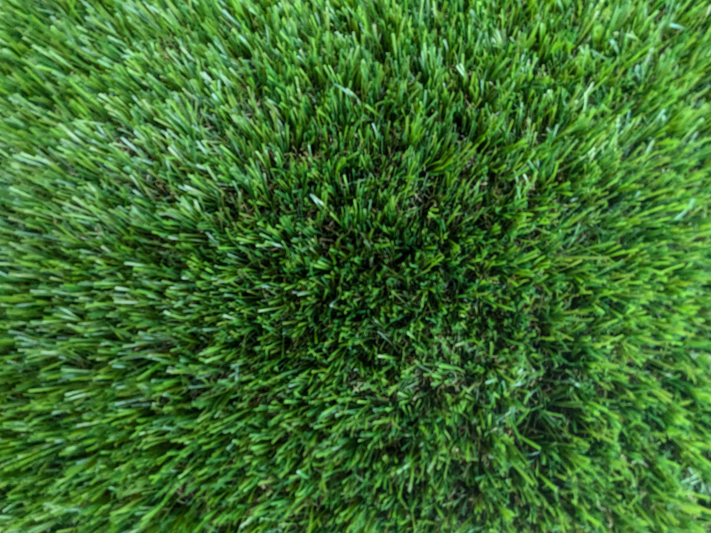 Merion Artificial Grass