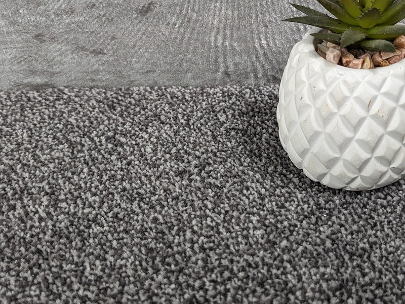 soft slate grey carpet