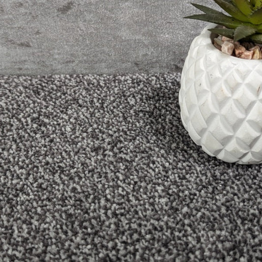 SCS Olympia Slate Saxony Carpet