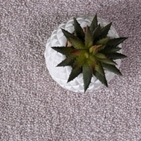 Pinkett Pink & Grey Carpet