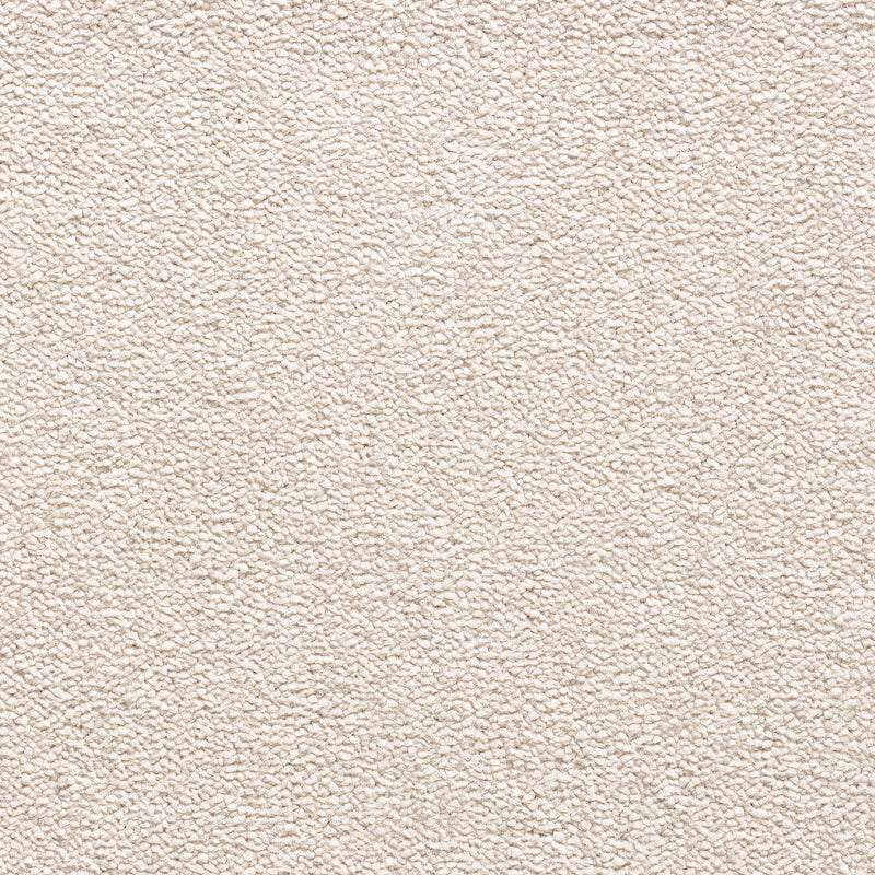Perro Ivory Colour Carpet