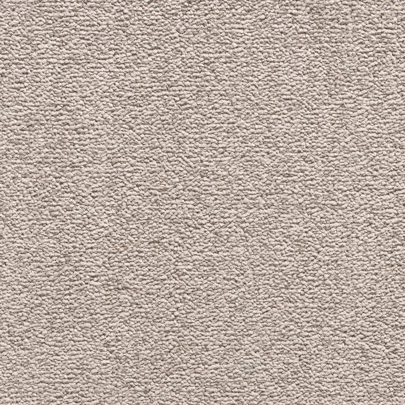 Perro Mushroom Colour Carpet