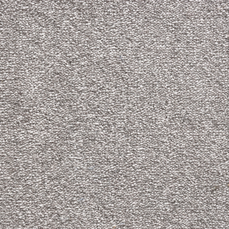Perro Stone Colour Carpet