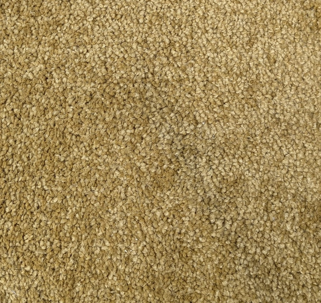 Princeton Yellow Mustard Carpet