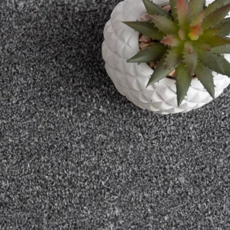 Rich Decadence 077 Grey Carpet