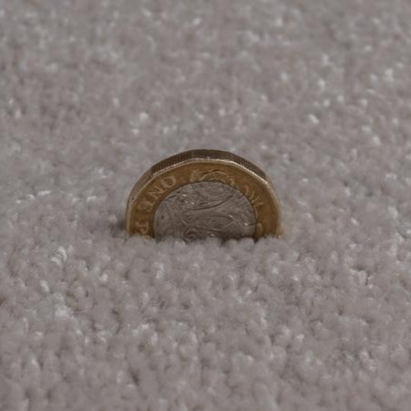 Rich Decadence 273 Neutral Grey Carpet