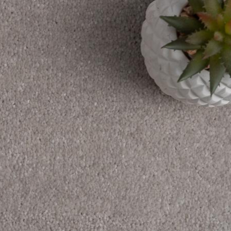 Rich Decadence 273 Neutral Grey Carpet