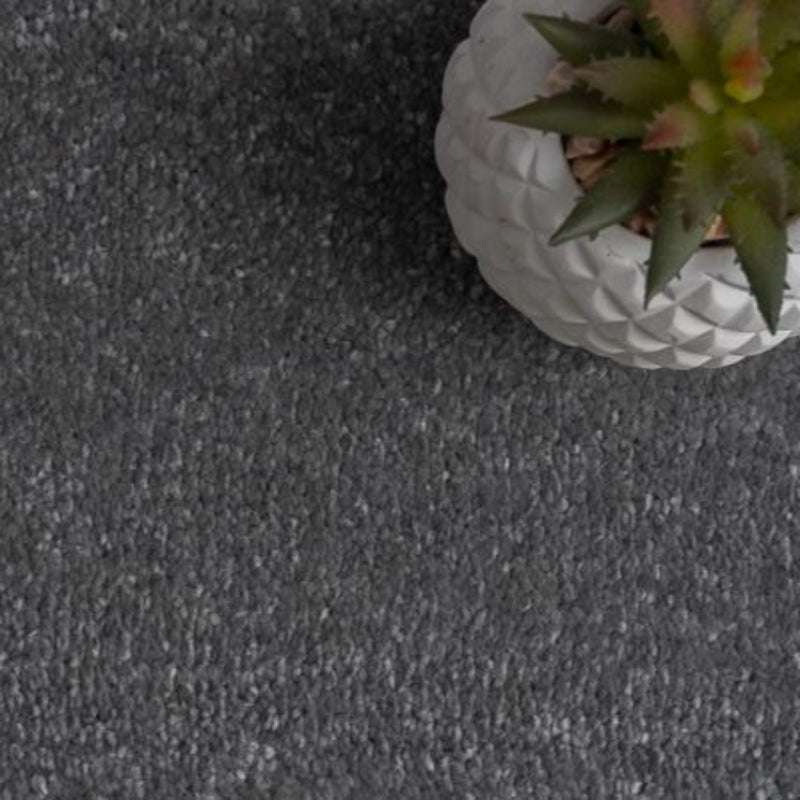 Rich Decadence 276 Grey Carpet