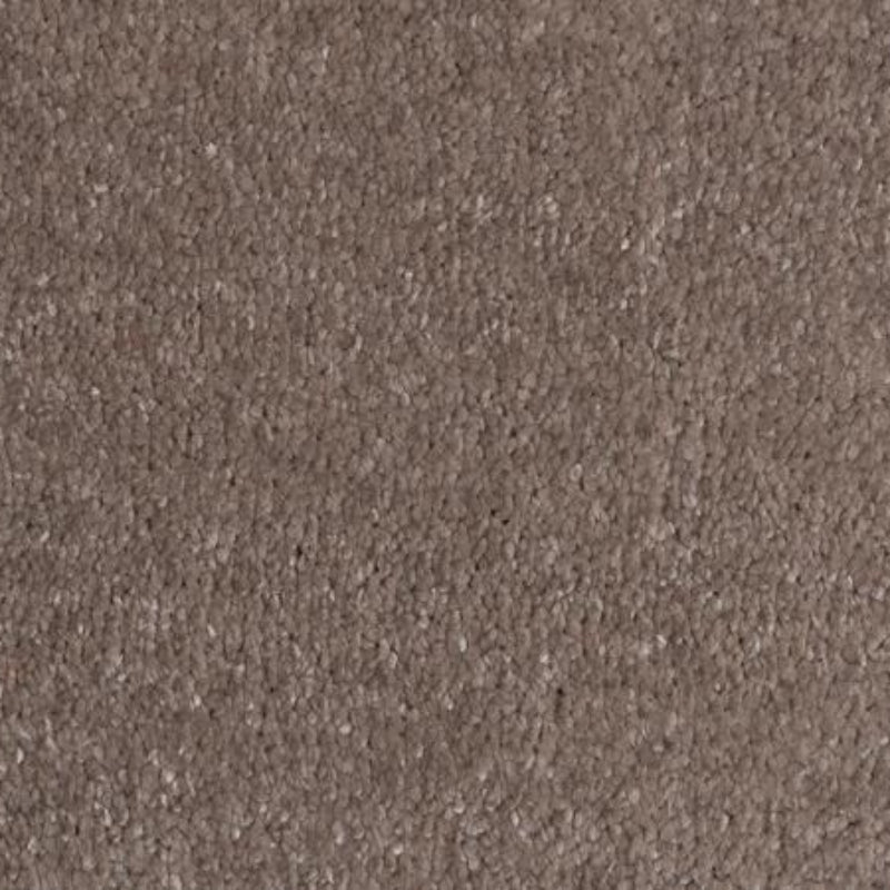 Rich Decadence 290 Neutral Carpet