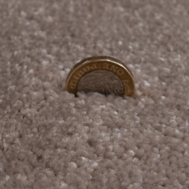 Rich Decadence 290 Neutral Carpet