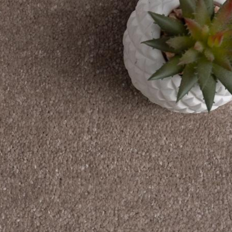 Rich Decadence 290 Neutral Carpet
