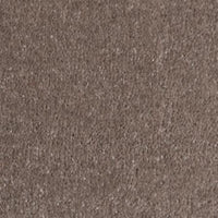 Rich Decadence 290 Neutral Carpet