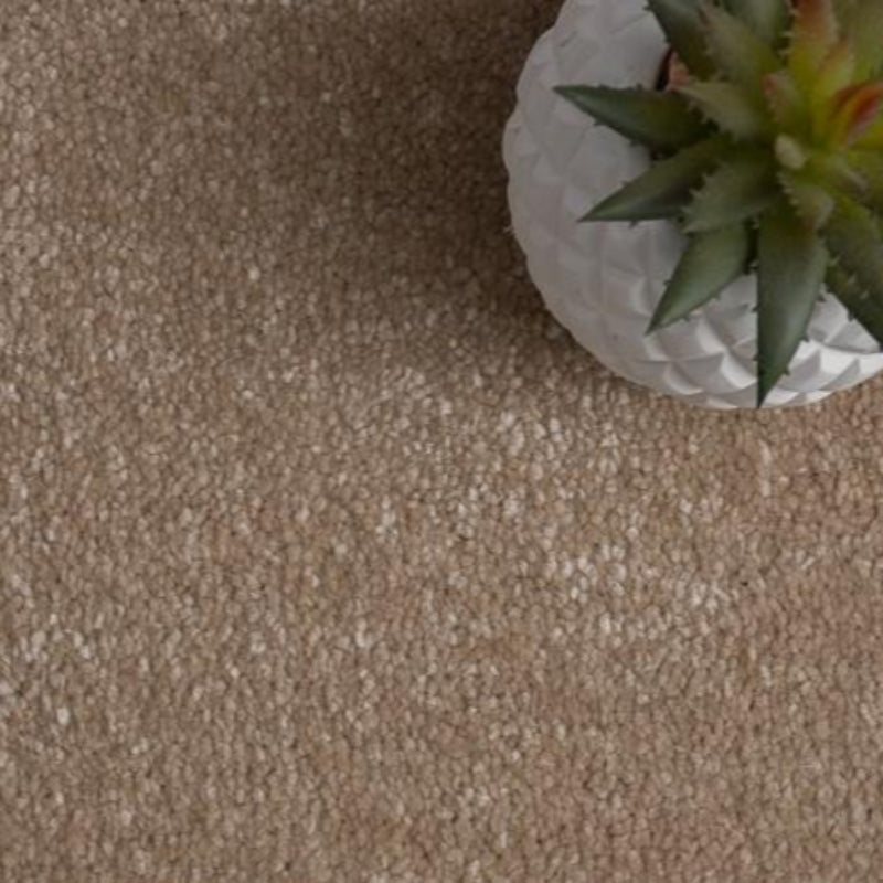 Rich Decadence 291 Cream Carpet