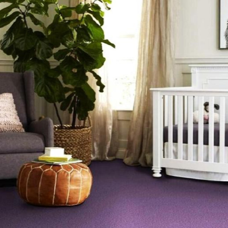 Rino Heather Purple Carpet